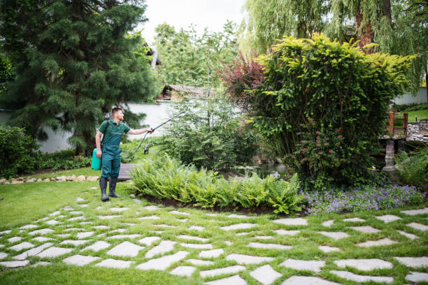 Best Commercial Pest Control Services  in Weston Lakes, TX