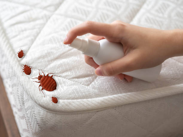 Best Mosquito Control Services  in Weston Lakes, TX