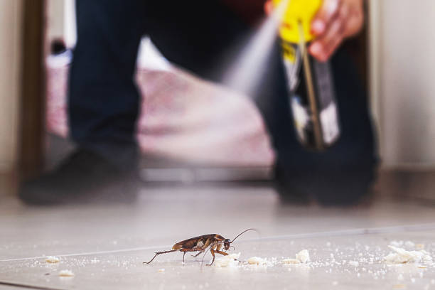 Best Insect Control  in Weston Lakes, TX