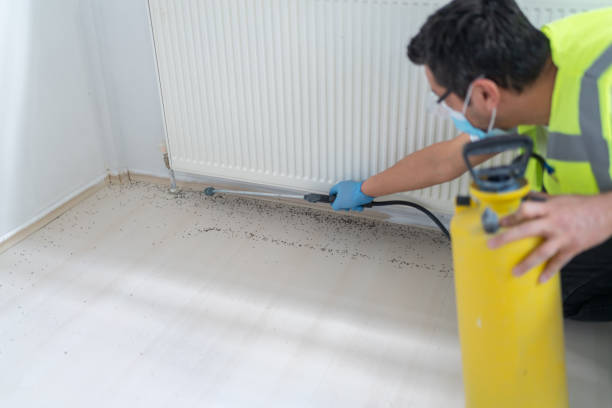  Weston Lakes, TX Pest Control Pros