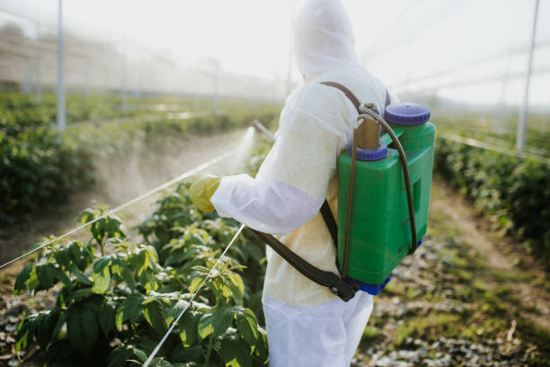 Trusted Weston Lakes, TX Pest Control Experts